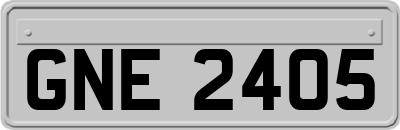 GNE2405