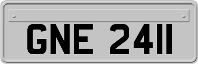 GNE2411