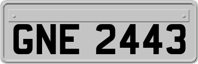 GNE2443