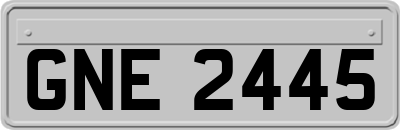 GNE2445