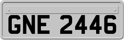 GNE2446