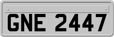 GNE2447