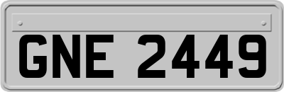 GNE2449