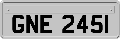 GNE2451