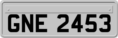 GNE2453