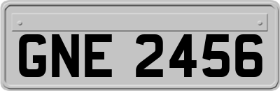 GNE2456