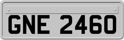 GNE2460