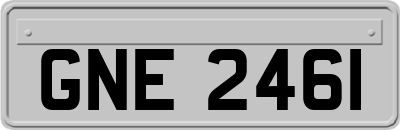 GNE2461