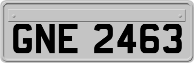GNE2463