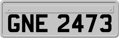 GNE2473