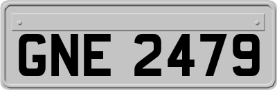 GNE2479