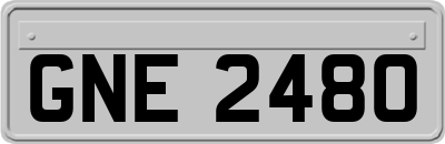 GNE2480