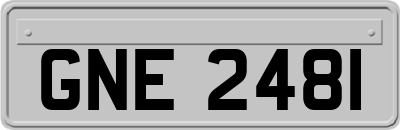 GNE2481
