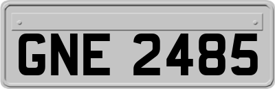 GNE2485
