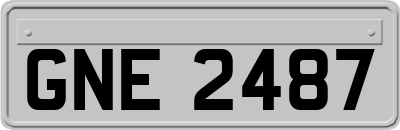 GNE2487
