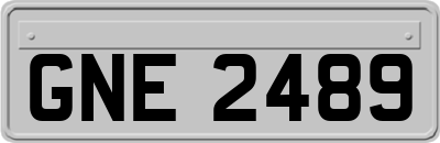 GNE2489