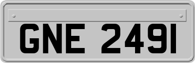 GNE2491