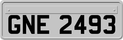 GNE2493