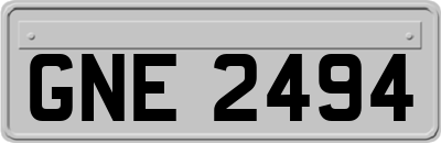 GNE2494