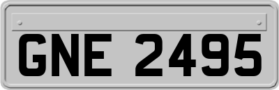 GNE2495