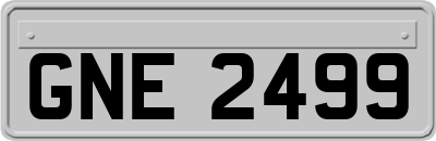 GNE2499