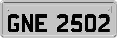GNE2502