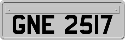 GNE2517
