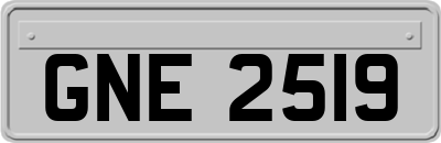 GNE2519