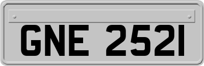 GNE2521