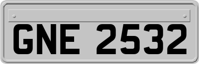 GNE2532