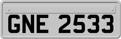 GNE2533