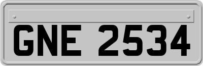 GNE2534