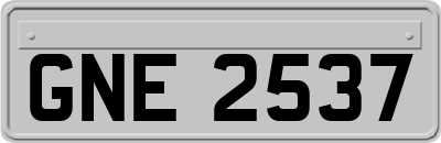 GNE2537