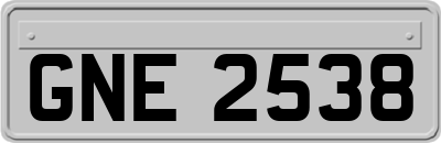 GNE2538