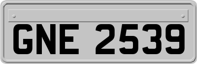 GNE2539