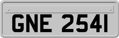 GNE2541