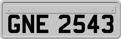 GNE2543