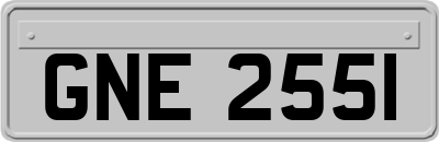 GNE2551