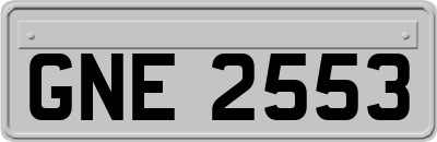 GNE2553