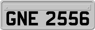 GNE2556