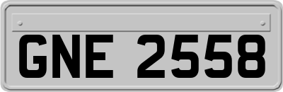 GNE2558