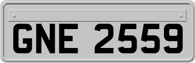 GNE2559