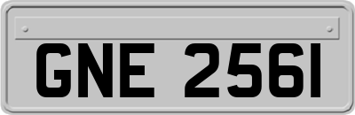 GNE2561