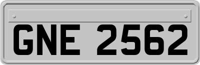 GNE2562