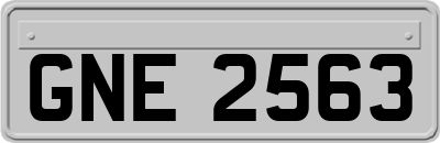 GNE2563