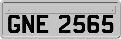 GNE2565