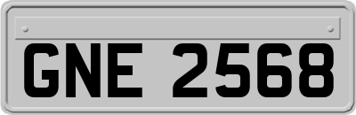 GNE2568