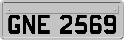 GNE2569