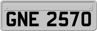 GNE2570