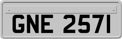 GNE2571